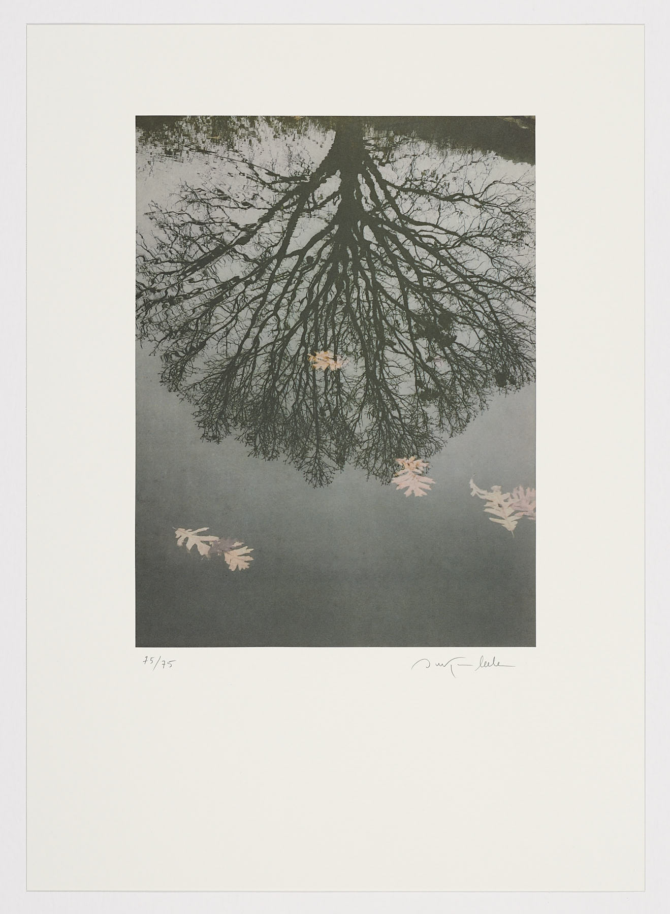 Gräphic , 2017, Ouka Leele