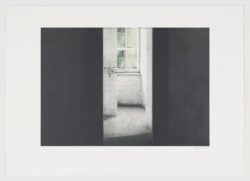 Serie jardines III, 2014, Carlos Morago