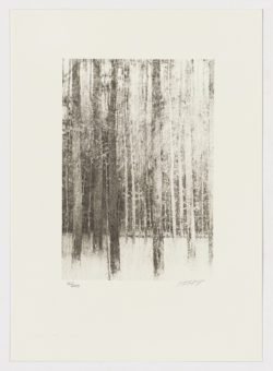 Árboles (fragmento III), Carlos Morago