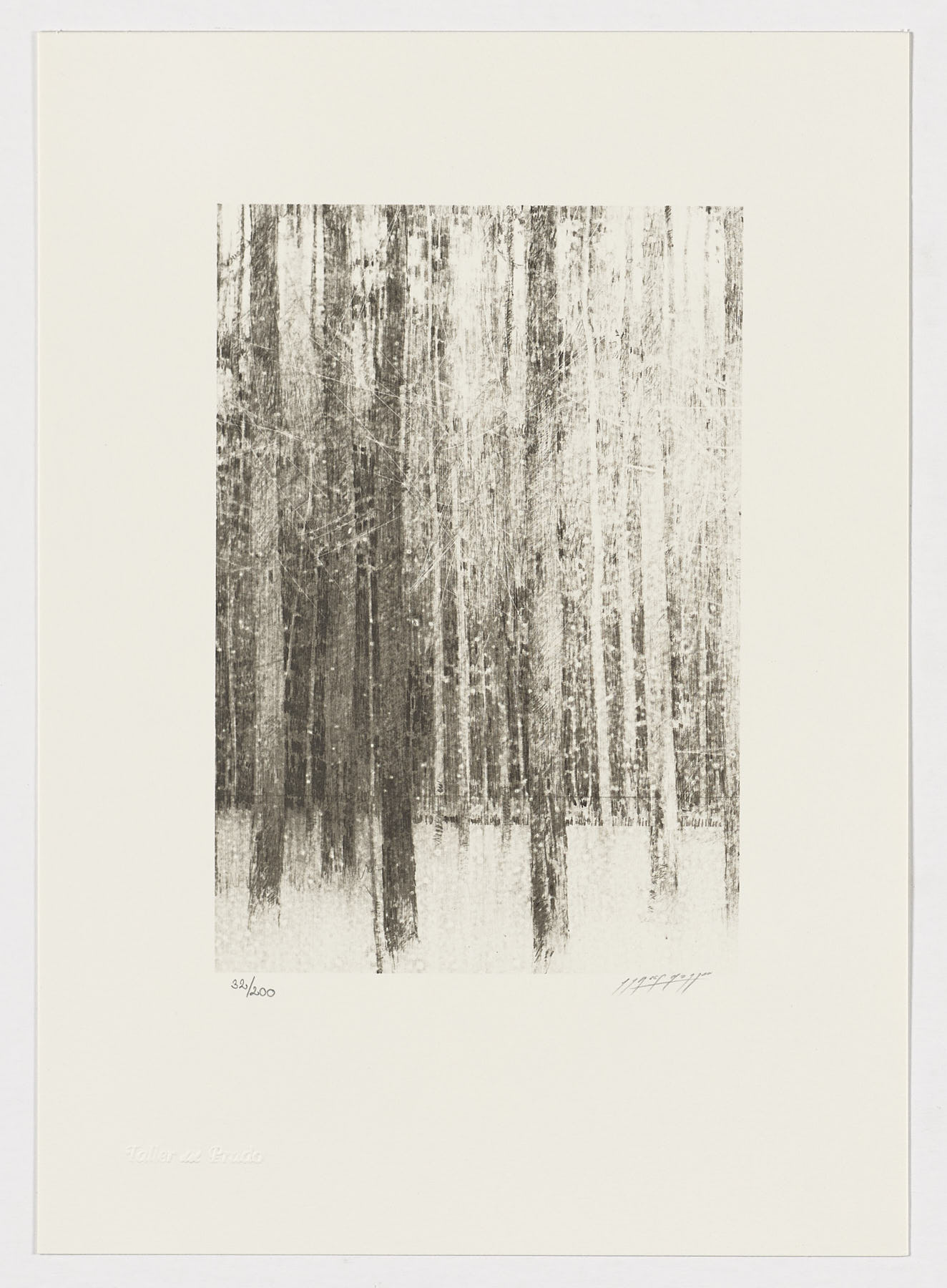 Árboles (fragmento III), Carlos Morago
