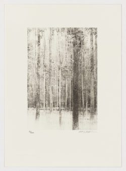 Árboles (fragmento I), Carlos Morago