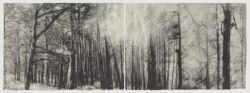 Continuidad de los bosques I (Díptico), Juan Lara