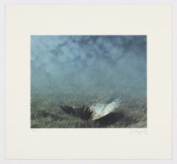 El origen de la niebla (2), 2019, Cristina de Middel
