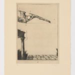 Atlas de Anatomía  (IV)