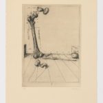 Atlas de Anatomía (V)