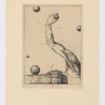 Atlas de Anatomía (IX)