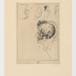 Atlas de Anatomía  (X)