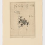 Atlas de Anatomía (XI)