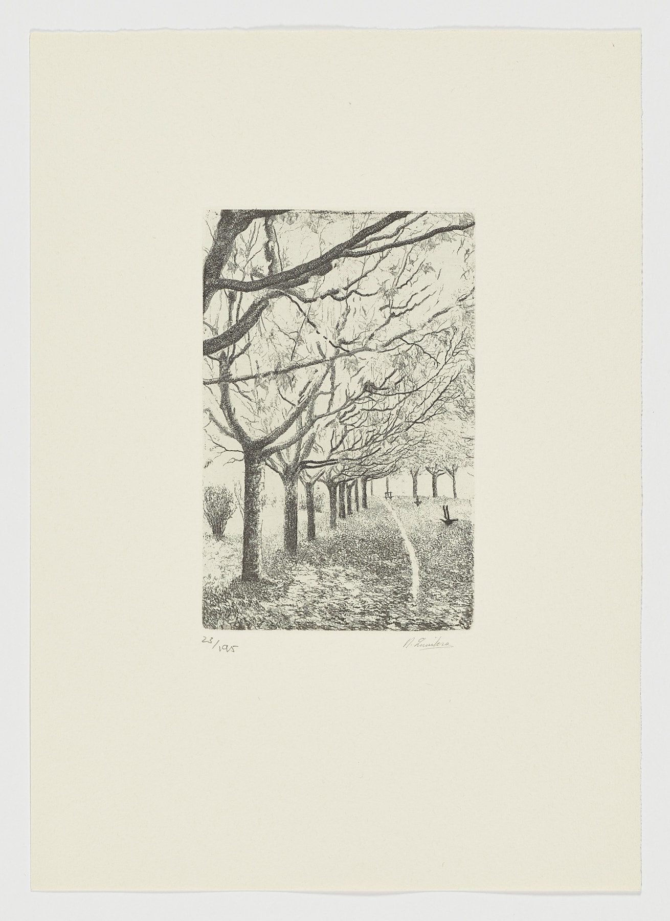La voz del árbol, 1982, Daniel Quintero