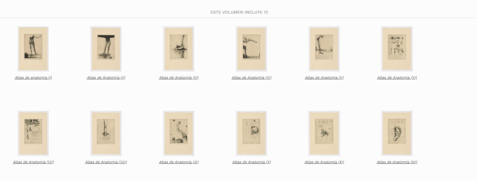 Atlas de Anatomía, 1992, José Hernández - Pedro Laín Entralgo