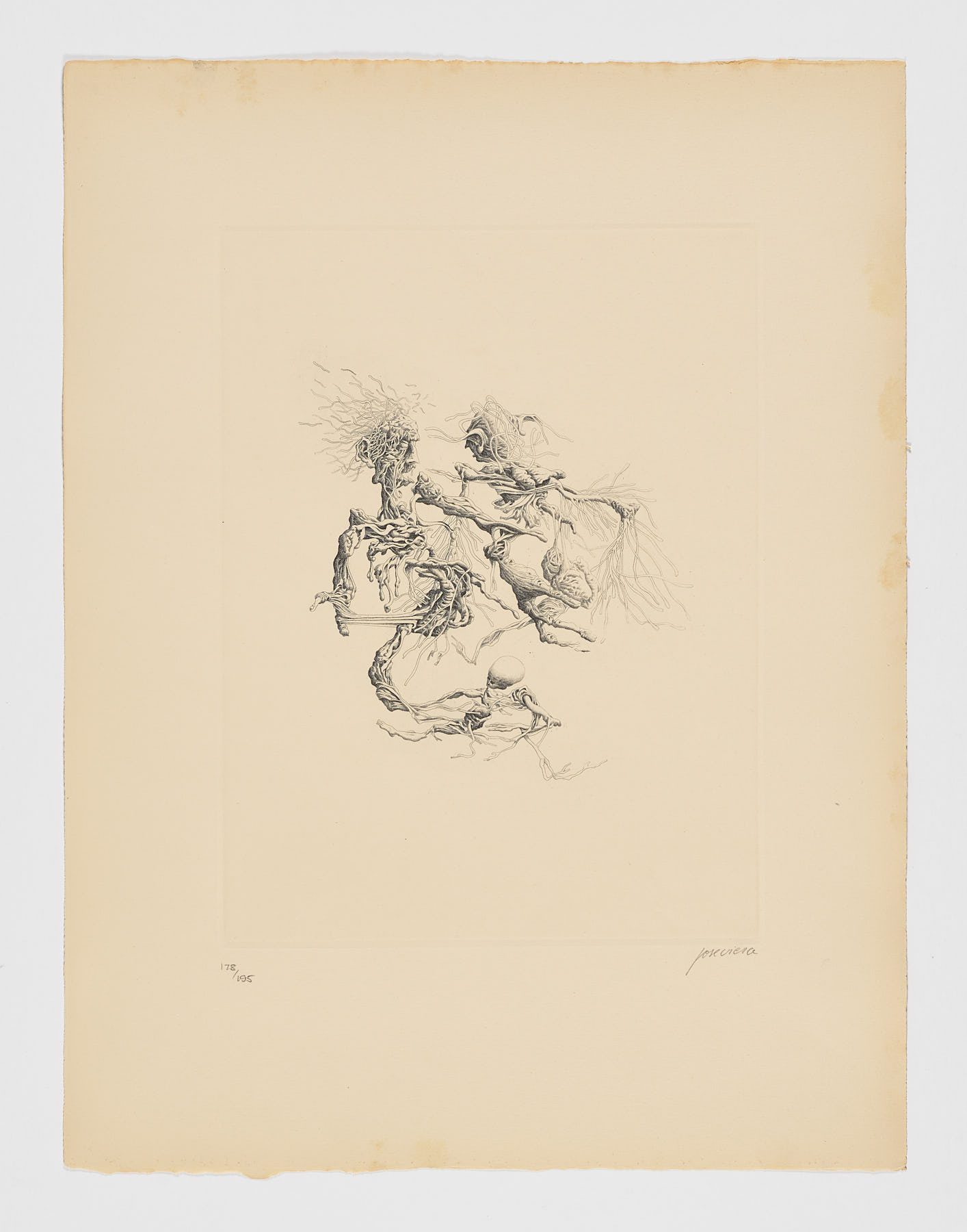 El Apocalipsis (IV), José Viera