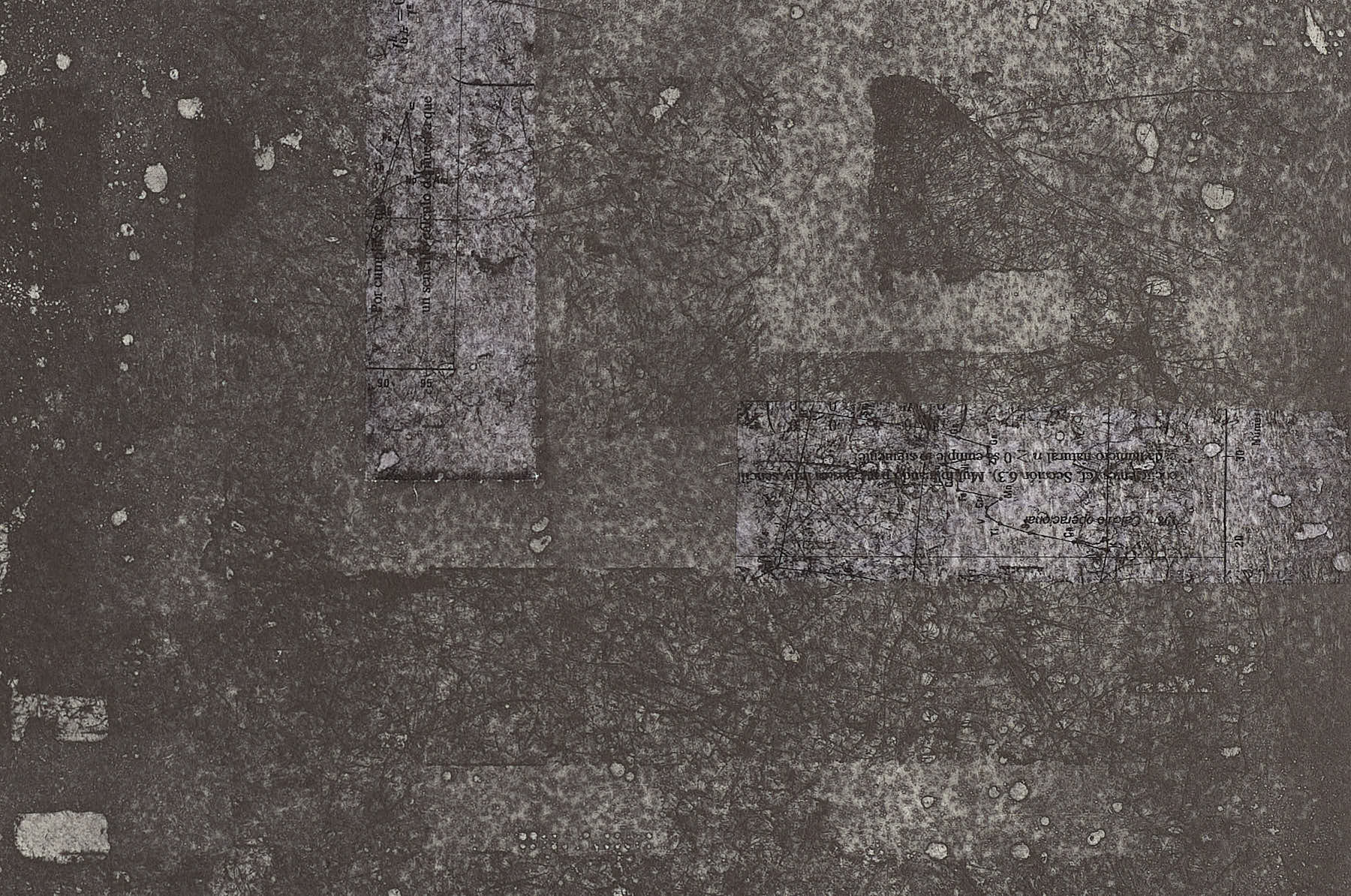 MMX 10, Enrique Brinkmann (detalle)