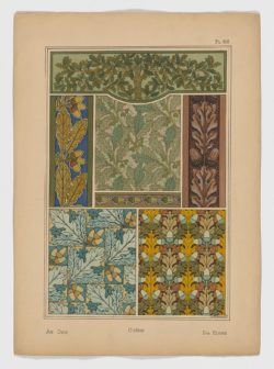 Iris Pl.1, 1896, Maurice Pillard Verneuil