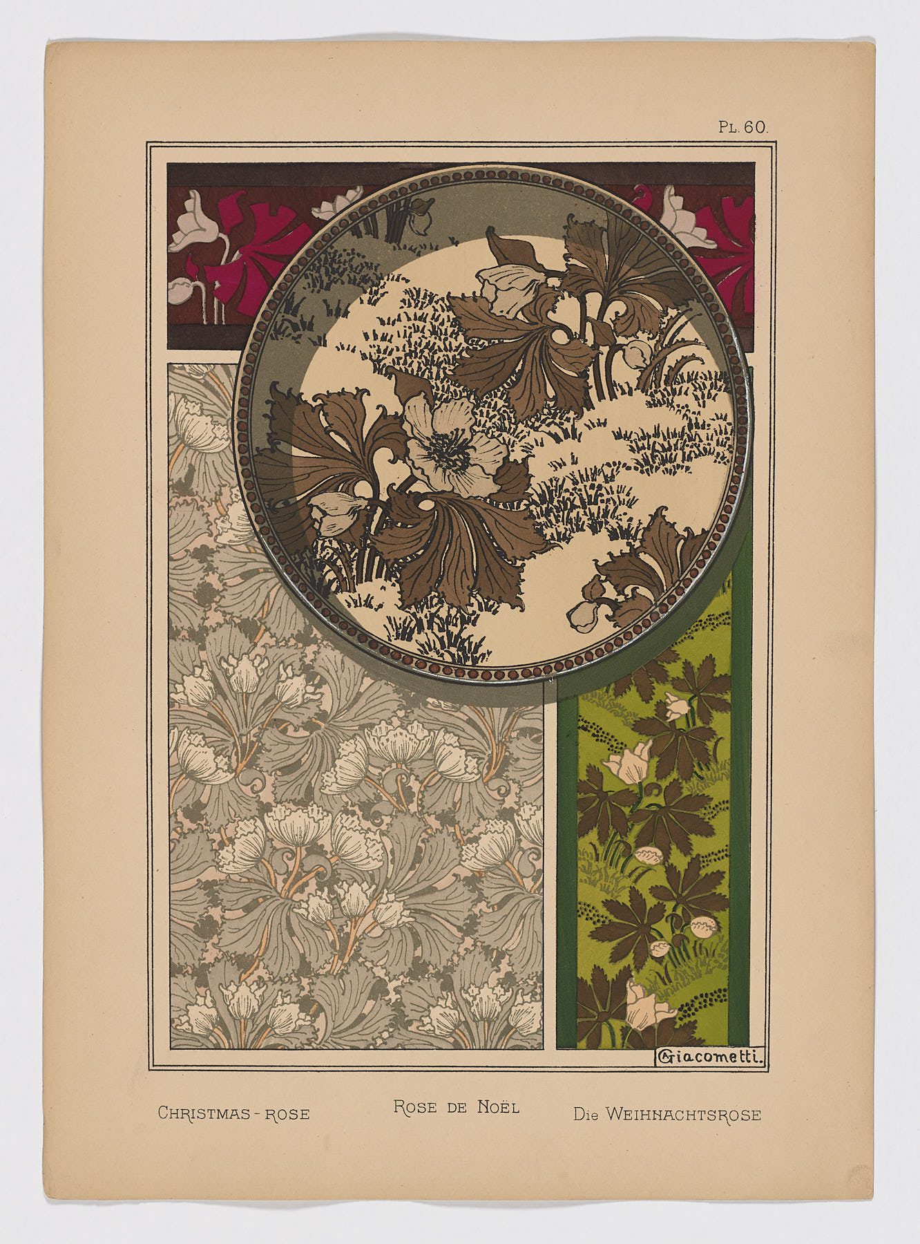 Rose de Noël Pl.60, 1896, A. Giacometti