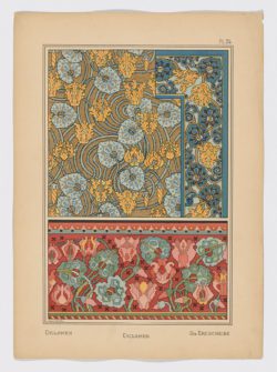 Cyclamen Pl.24, 1896, Anna Martin