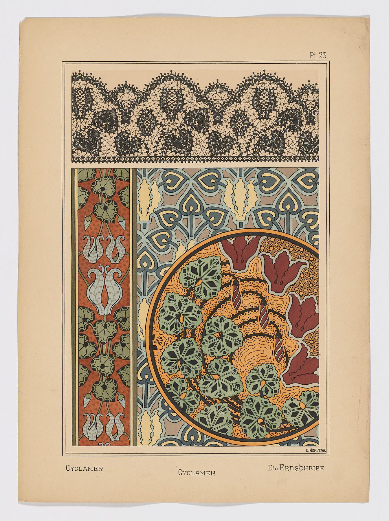Cyclamen Pl.23, 1896, Hervegh, E.