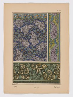 Lilas Pl.50, 1896, Anna Martin