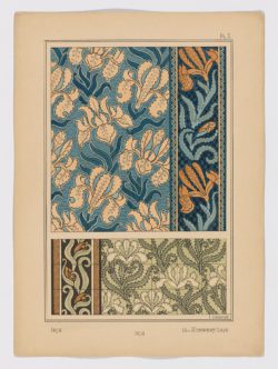 Iris Pl.3, 1896, Hervegh, E.