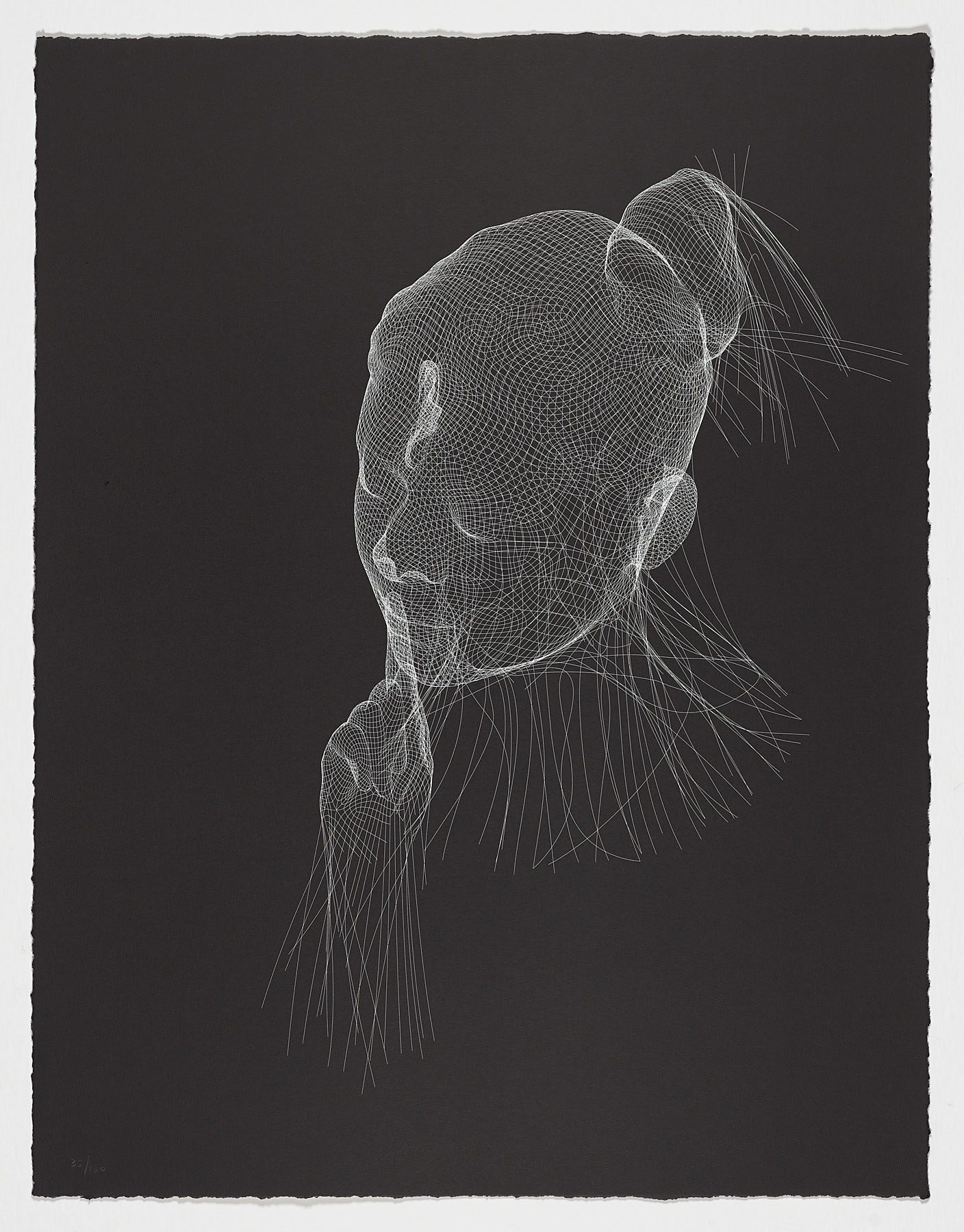 Wilsis en blanco y negro, 2022, Jaume Plensa