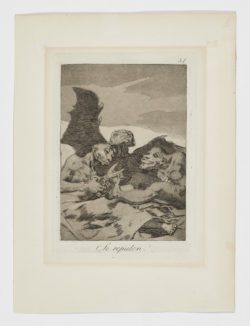 Se repulen, Francisco de Goya