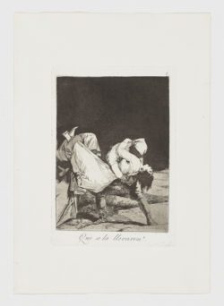 Que se la llevaron!, Francisco de Goya