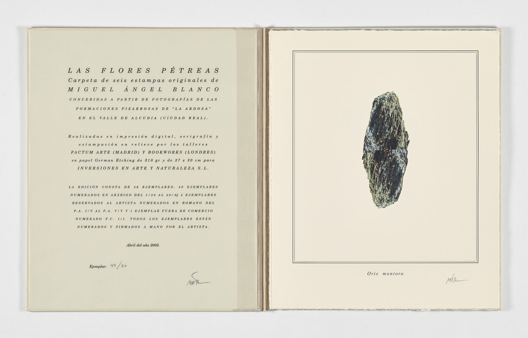 Las flores pétreas, 2003, Miguel Ángel Blanco