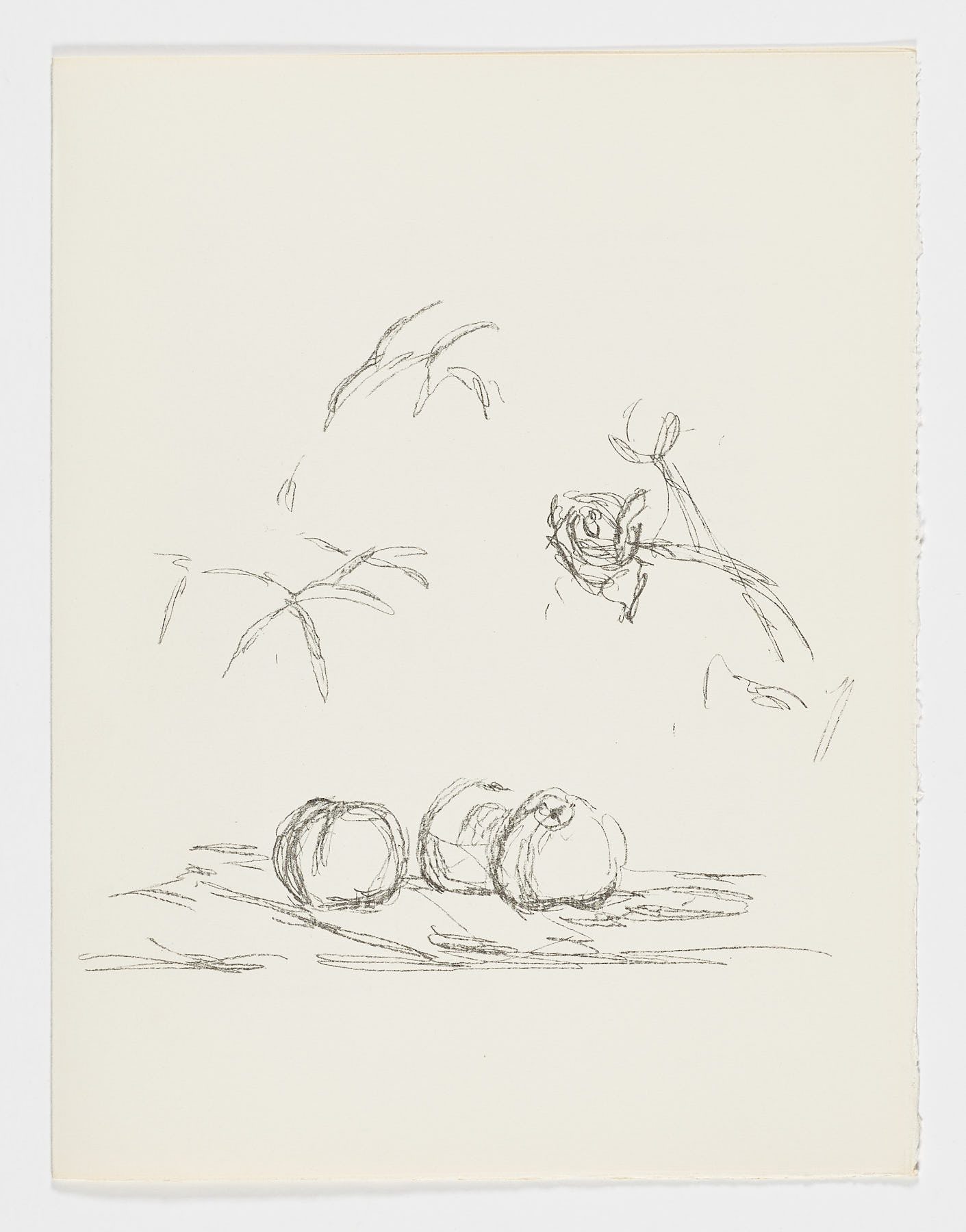 Fleurs, 1972, Alberto Giacometti