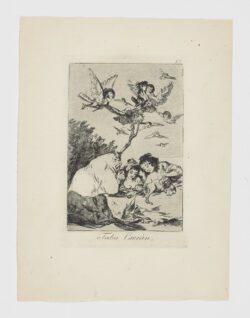 Todos caerán, Francisco de Goya