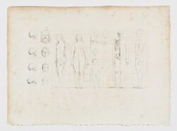 Anatomie du gladiateur combattant applicable aux beaux arts, 1812, Jean-Galbert Salvage