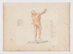 Anatomie du gladiateur combattant applicable aux beaux arts, 1812, Jean-Galbert Salvage