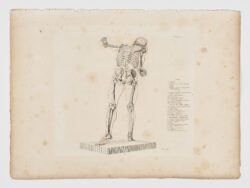 Anatomie du gladiateur combattant applicable aux beaux arts, 1812, Jean-Galbert Salvage