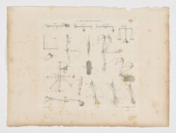 Anatomie du gladiateur combattant applicable aux beaux arts, 1812, Jean-Galbert Salvage