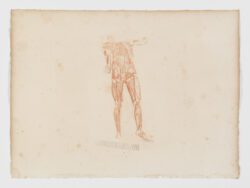 Anatomie du gladiateur combattant applicable aux beaux arts, 1812, Jean-Galbert Salvage