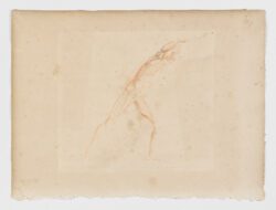 Anatomie du gladiateur combattant applicable aux beaux arts, 1812, Jean-Galbert Salvage
