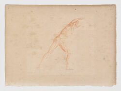 Anatomie du gladiateur combattant applicable aux beaux arts, 1812, Jean-Galbert Salvage
