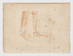 Anatomie du gladiateur combattant applicable aux beaux arts, 1812, Jean-Galbert Salvage