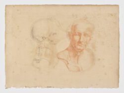 Anatomie du gladiateur combattant applicable aux beaux arts, 1812, Jean-Galbert Salvage