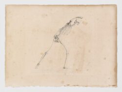 Anatomie du gladiateur combattant applicable aux beaux arts, 1812, Jean-Galbert Salvage