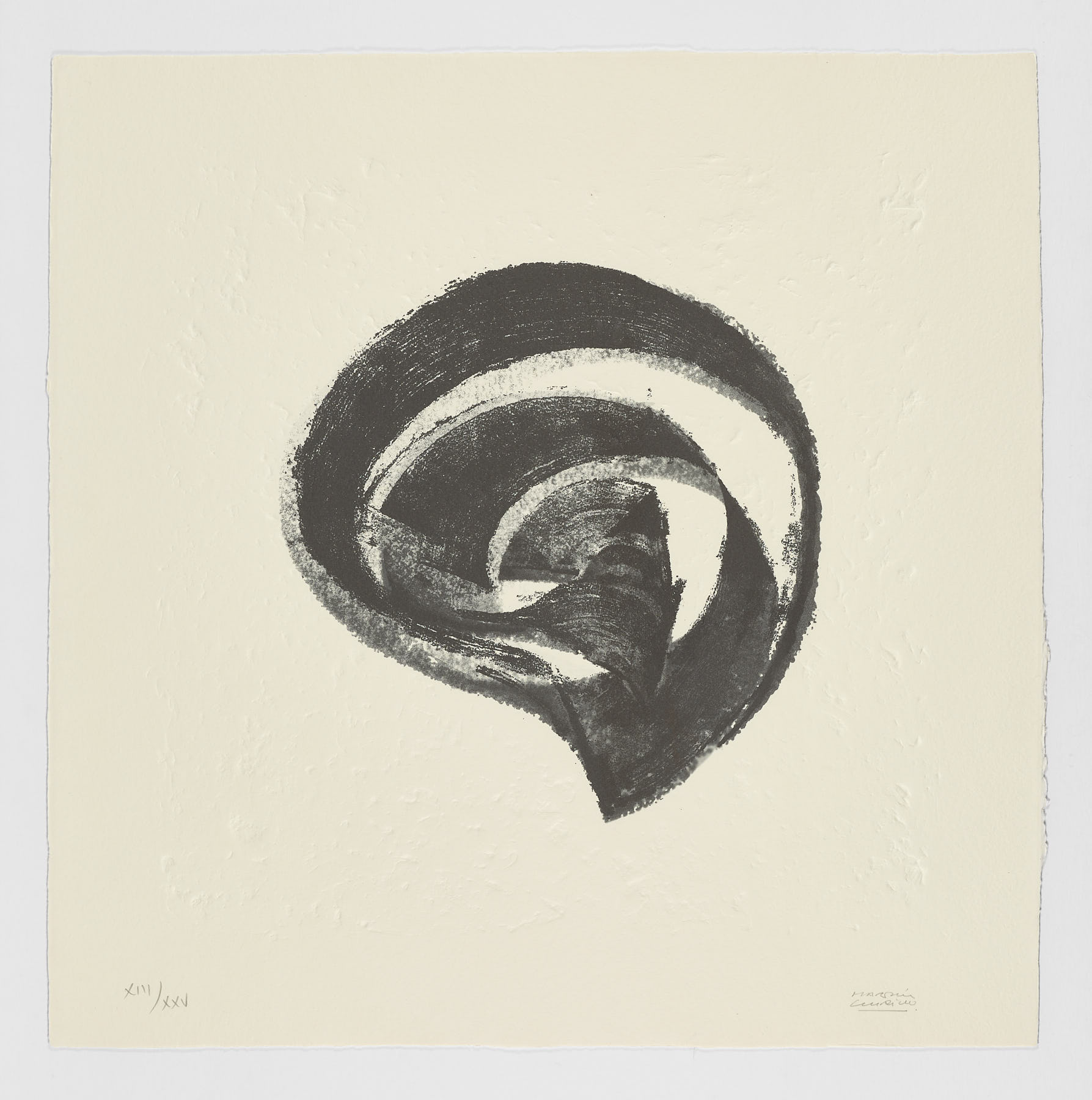 La Espiral. Naturaleza, Simbología y Cosmos, 2005, Martín Chirino