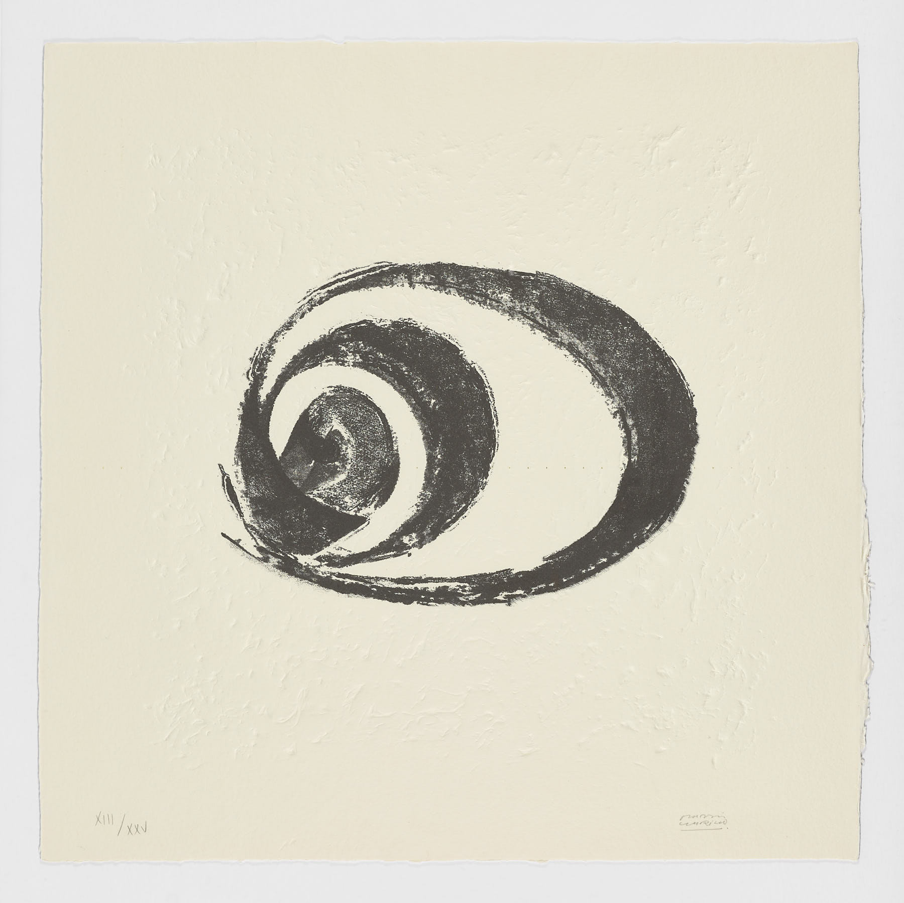 La Espiral. Naturaleza, Simbología y Cosmos, 2005, Martín Chirino