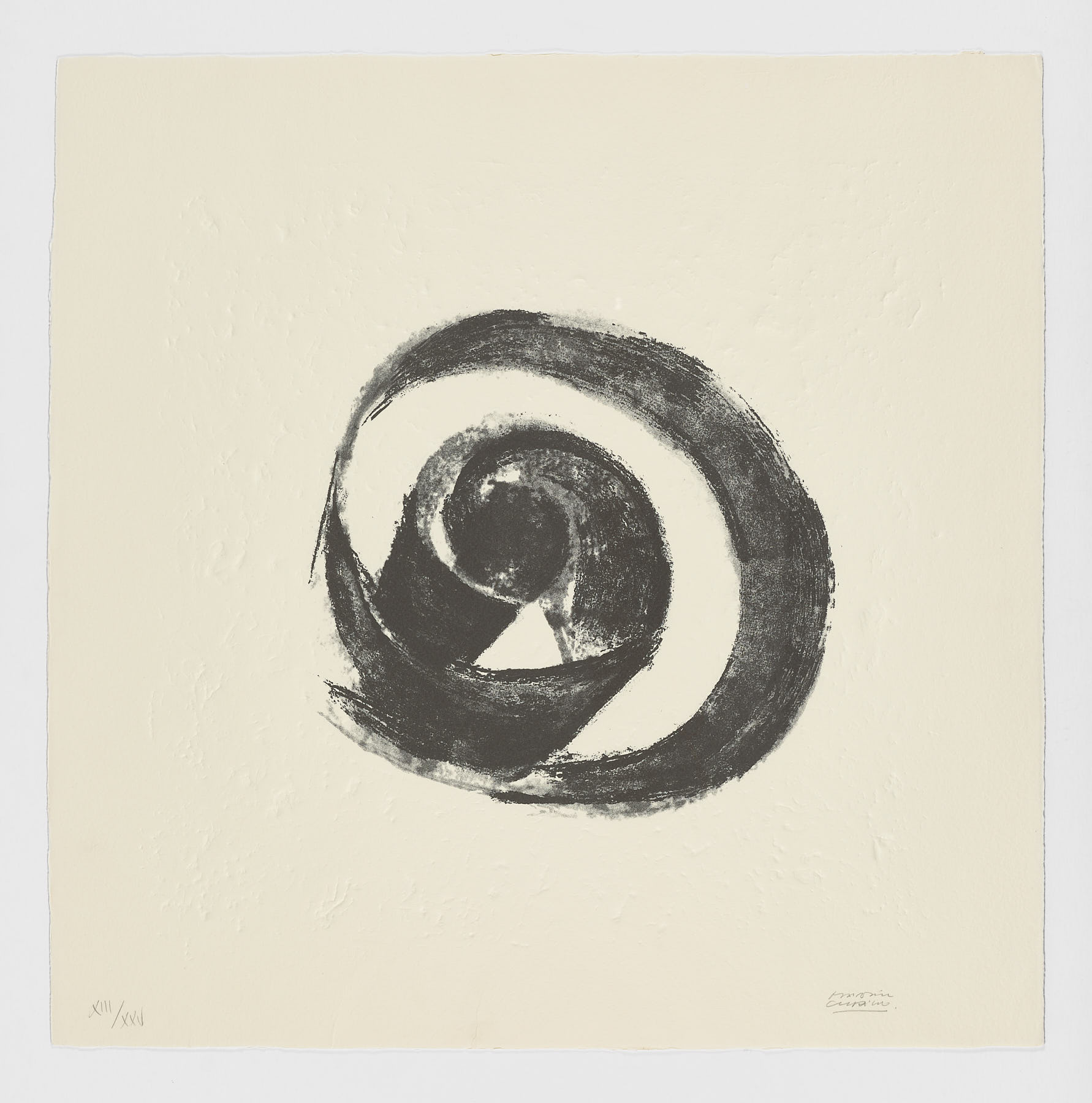 La Espiral. Naturaleza, Simbología y Cosmos, 2005, Martín Chirino