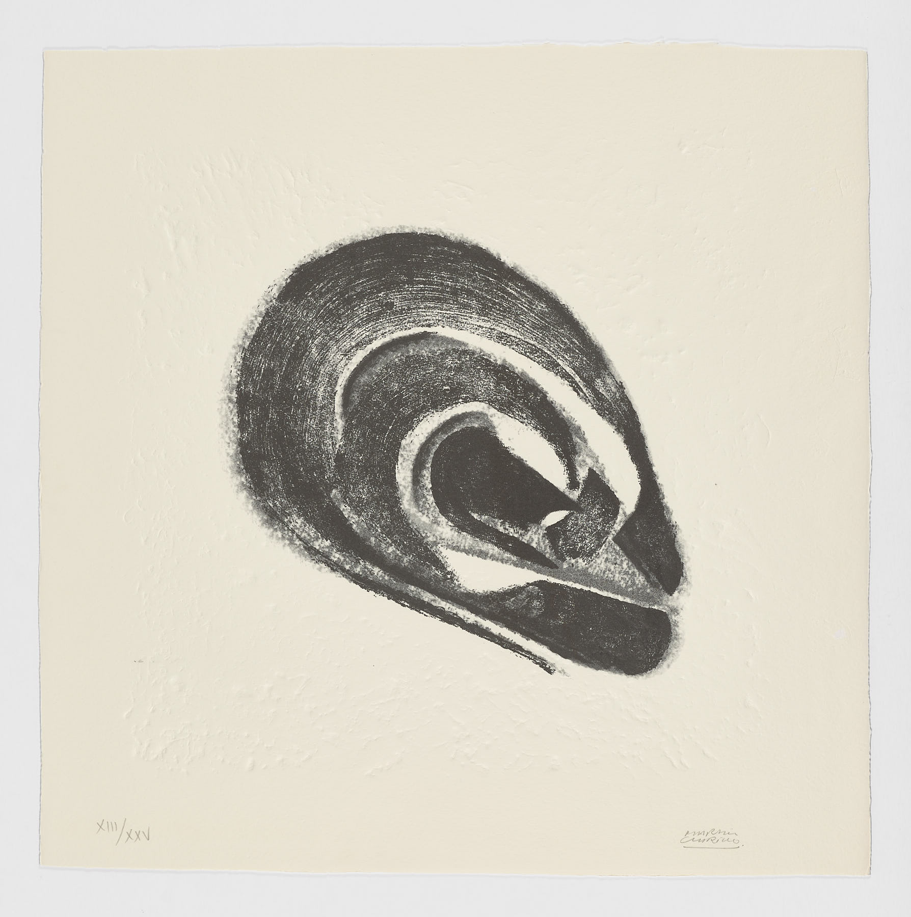 La Espiral. Naturaleza, Simbología y Cosmos, 2005, Martín Chirino