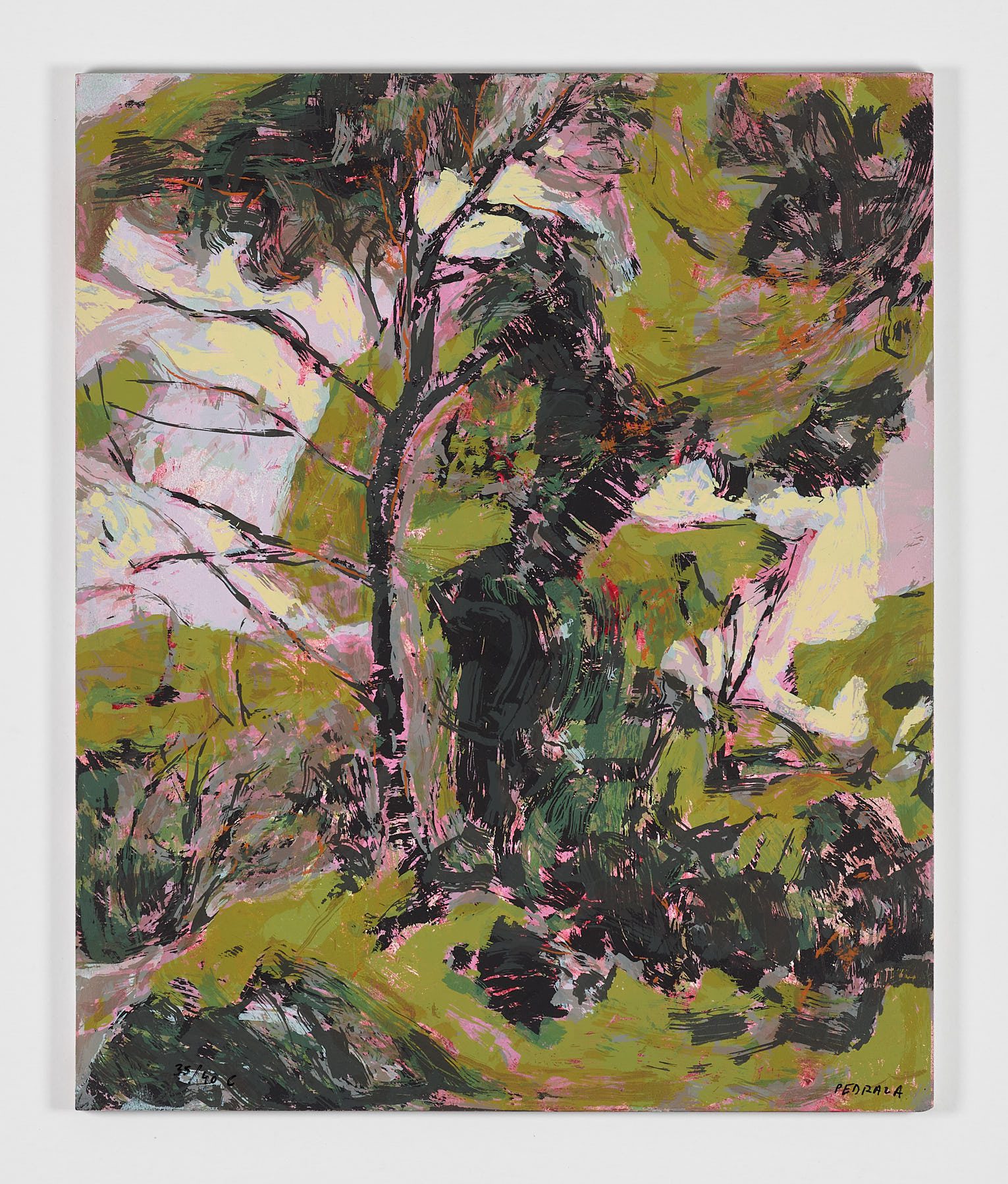 Árboles, 1962, Jorge Pedraza