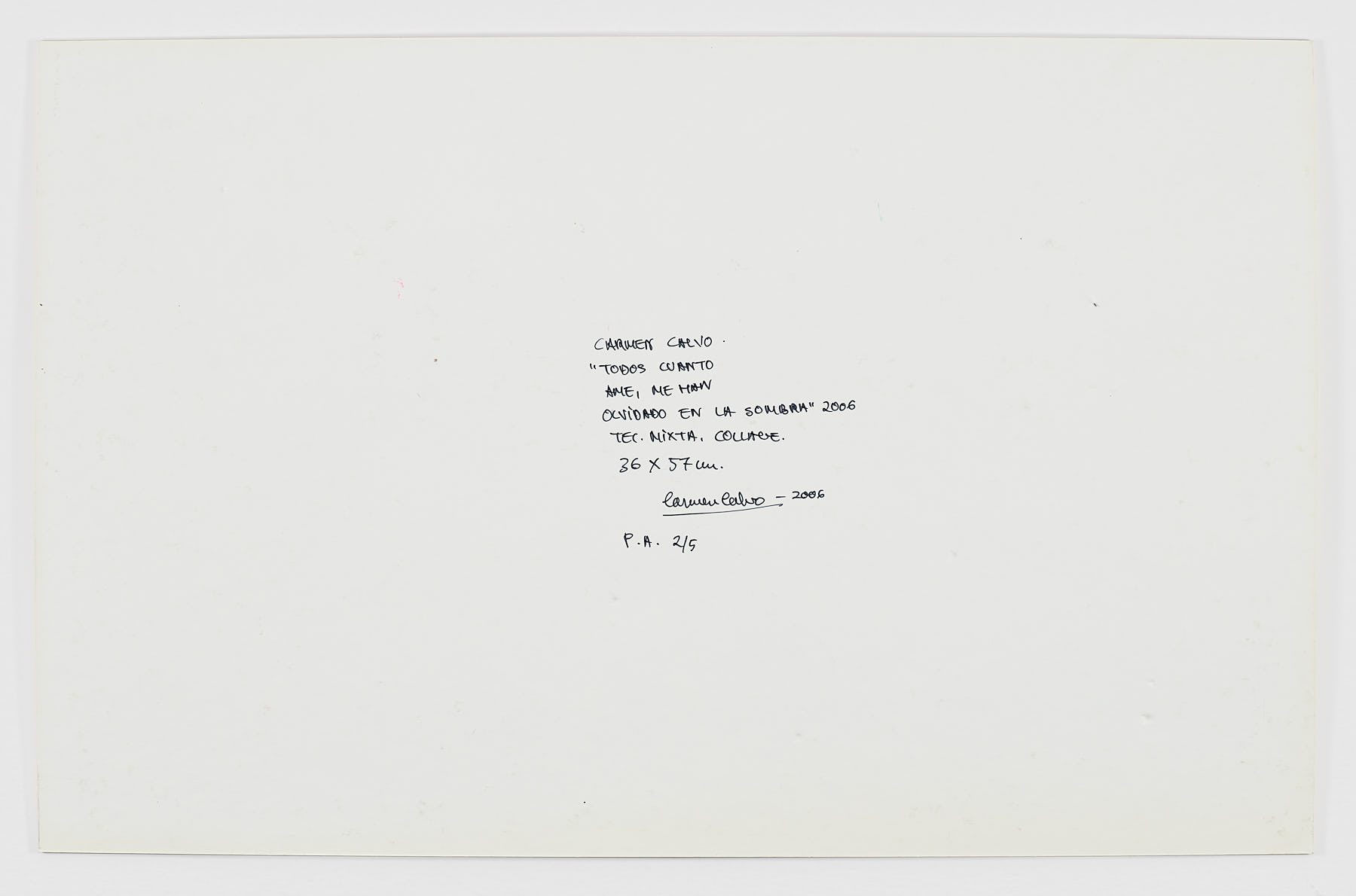Todos cuanto ame, me han olvidado en la sombra, 2006, Carmen Calvo