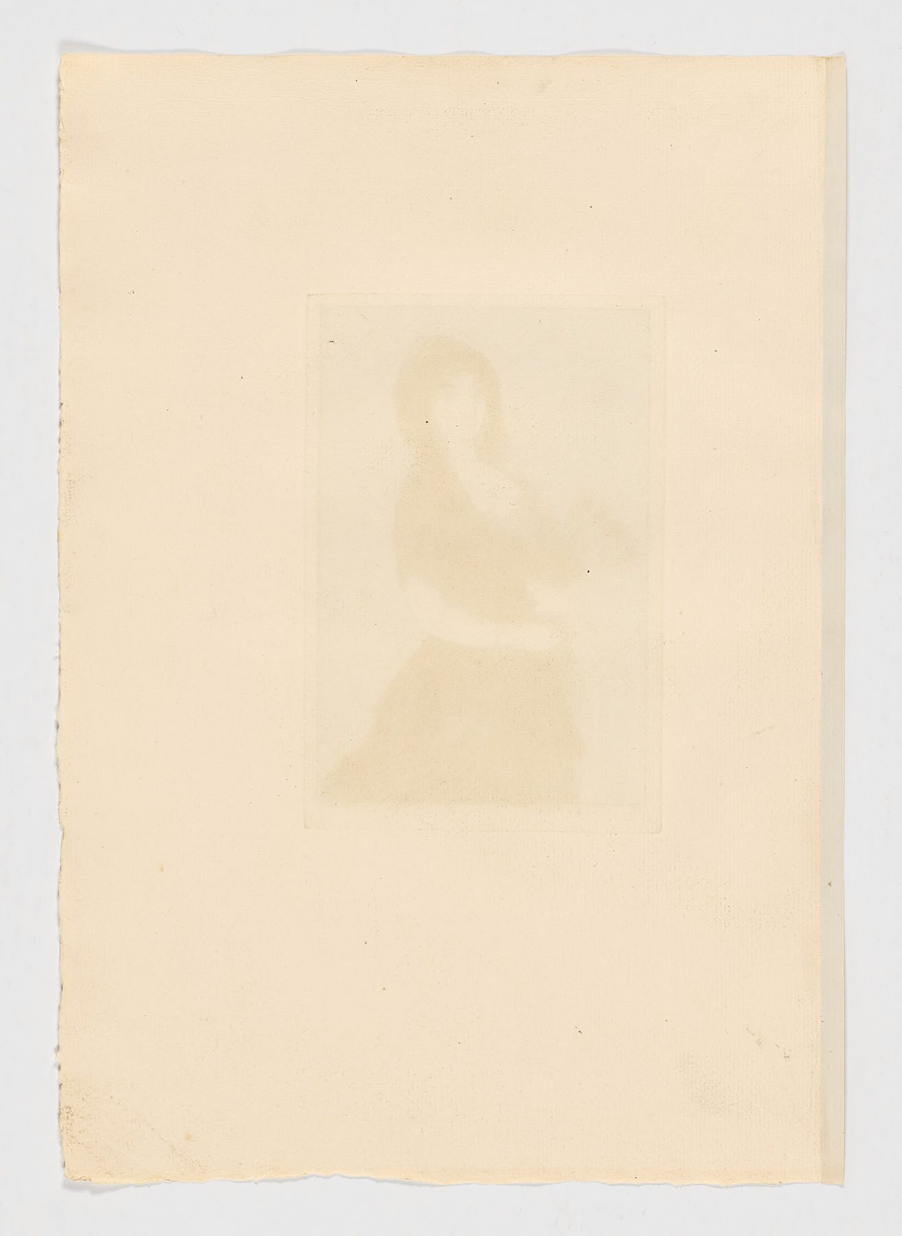 Fleur Exotique, Édouard Manet