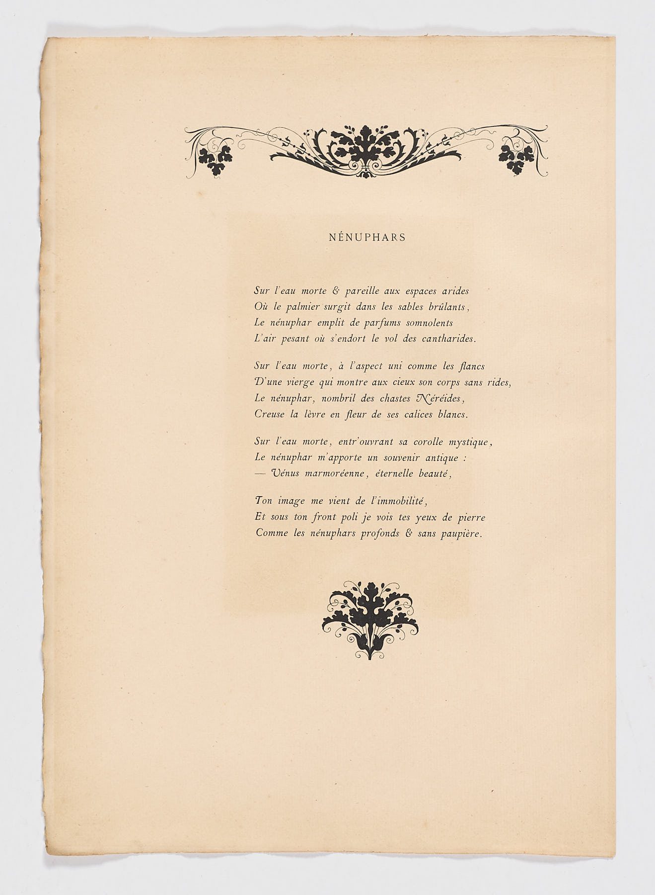 Nénuphars, Feyen-Perrin