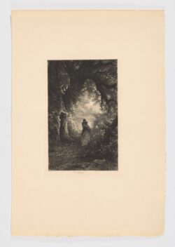 Silence et nuit des bois