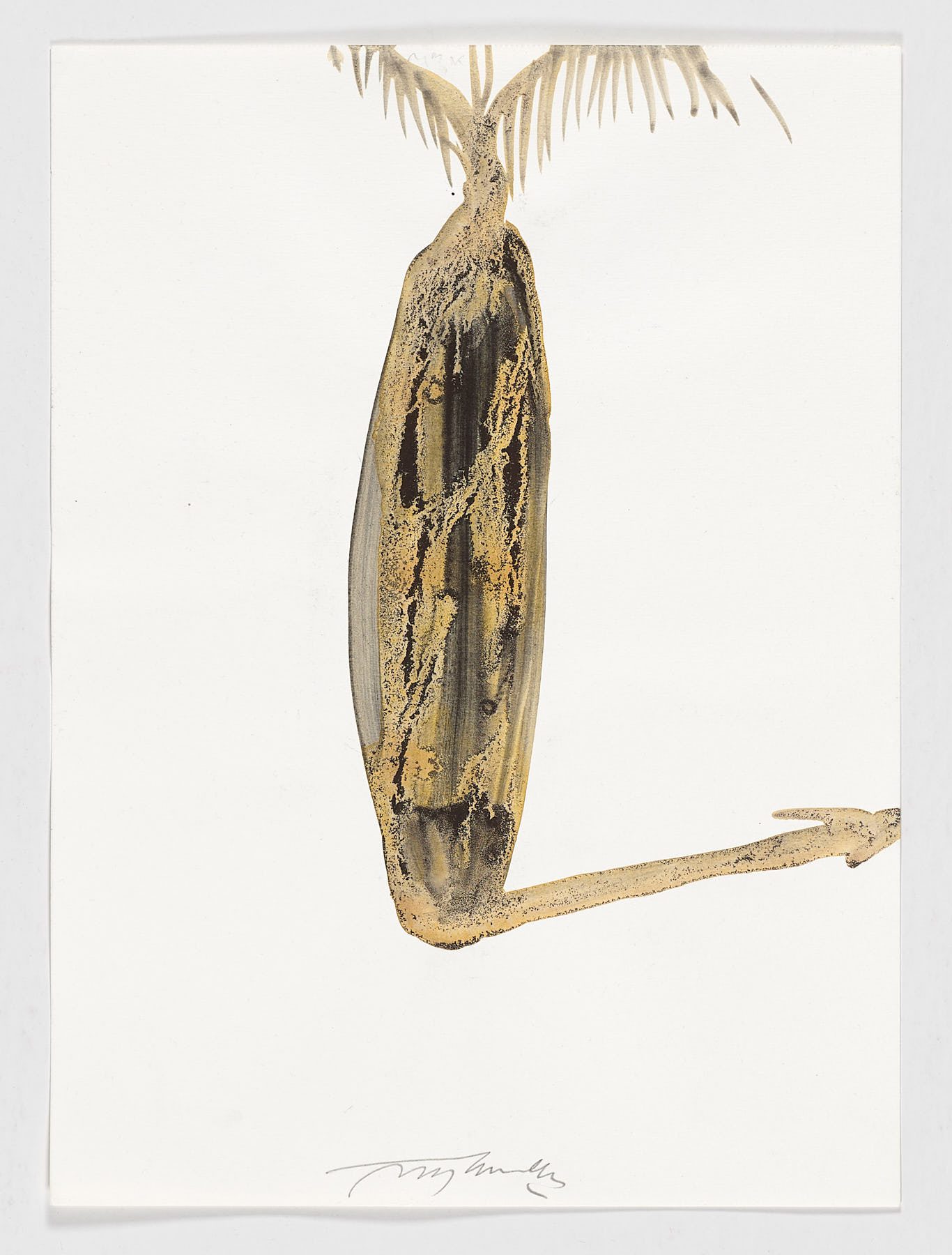 Autor desconocido
