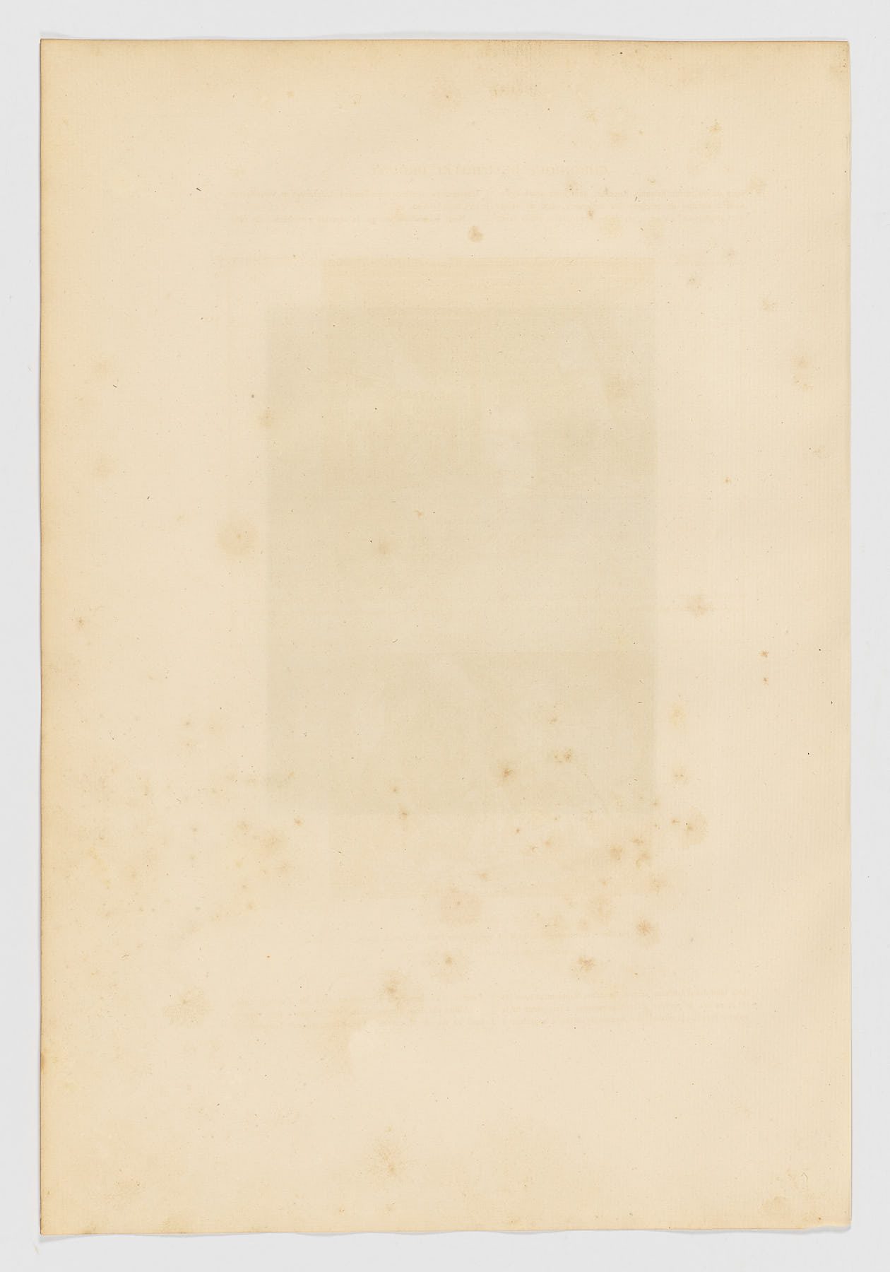 William Unger