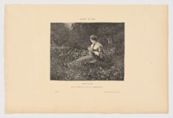 Fleurs de Mai